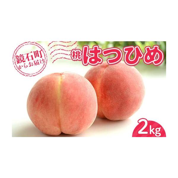 容量はつひめ2kg （7玉〜10玉） 1箱消費期限発送後4日間発送期日2026年7月上旬に発送配送常温 時間指定 別送申込期日2026年6月15日まで事業者込山もも・りんご園申込条件何度も申し込み可