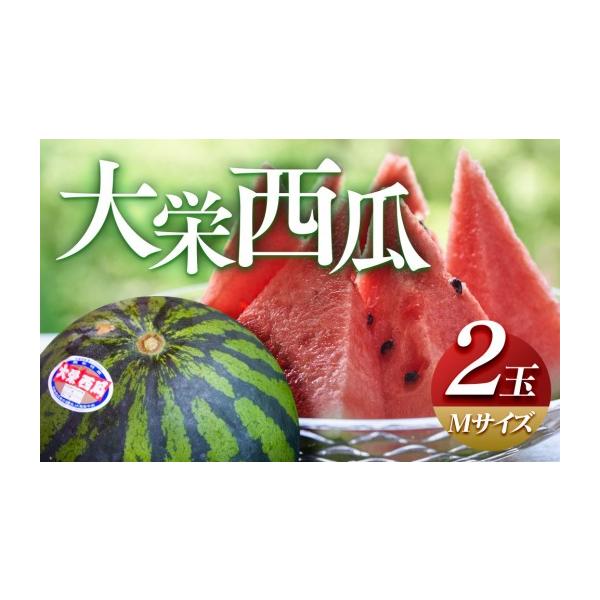 ふるさと納税 スイカ 鳥取県 北栄町  2027年産先行予約 大栄西瓜 M ２玉 2027年6月中旬〜7月中旬頃に順次発送予定 | 西瓜 スイカ 大栄すいか 果物 フルーツ く…