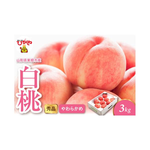 容量白桃（柔らかめ） 3kg（6-13玉）消費期限■賞味期限発送日含め5日以内■保存方法常温保存発送期日2026年7月25日頃〜8月25日頃（予定）※発送日の指定はできません。※長期不在等の寄附者様事由による返送、劣化については、再送を承る...