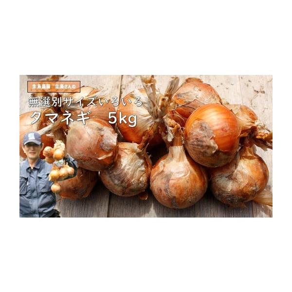 容量5kg発送期日2026年6月上旬頃〜10月下旬頃までに順次発送予定配送常温 別送申込期日〜2026年10月15日事業者生島農園申込条件何度も申し込み可