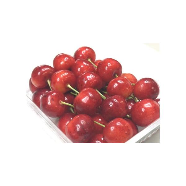 容量300ｇ・秀・２L以上消費期限2〜3日程度発送期日2026年6月下旬頃※生育状況によってお届けが前後する場合がございます。【配達】ヤマト運輸配送冷蔵 のし 時間指定 別送申込期日2026年6月10日まで事業者株式会社 野川ファーム申込条...