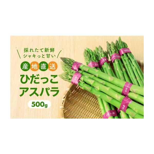 容量アスパラガス 500g消費期限賞味期限　発送日から5日※冷蔵でのお届けとなります。賞味期限が短いですのでお早めにお召し上がりください。アスパラをより楽しんでいただくために太さは不揃いで包装してあります。※天候不良や災害等により、十分な収...