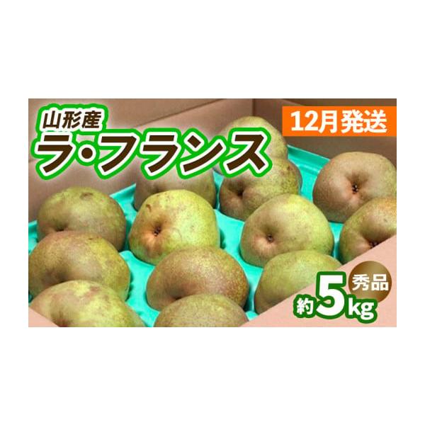 容量【令和8年産】ラ・フランス約5kg 秀品（10〜16玉 3L〜6L)[12月発送]発送期日2026年12月01日頃〜2026年12月31日頃※状況により配送時期が前後する場合がございます。(着日指定不可)配送常温 時間指定 別送申込期日...