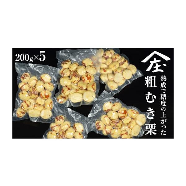 容量200g×5消費期限冷凍で半年発送期日入金確認後、2〜3週間程度で発送配送冷凍 別送申込期日通年事業者庄七農園申込条件何度も申し込み可