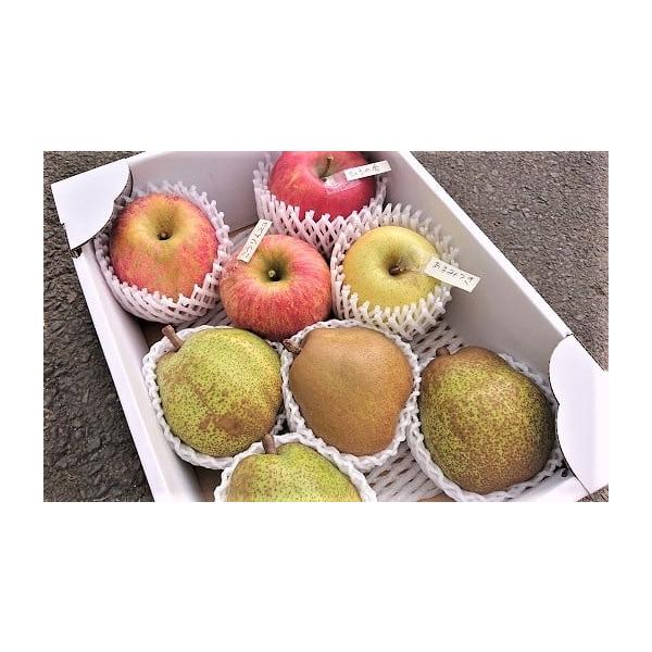 容量西洋梨とりんご２品種以上の詰合せ　３ｋｇ合計８〜１０玉　ご家庭用※西洋梨は、主にラ・フランスの予定ですが、マルゲリット・マリーラ、バラード、レクラーク、シルバーベル等の品種が入る場合がございます。※りんごは、ふじ・あいかの香り・昂林・シ...