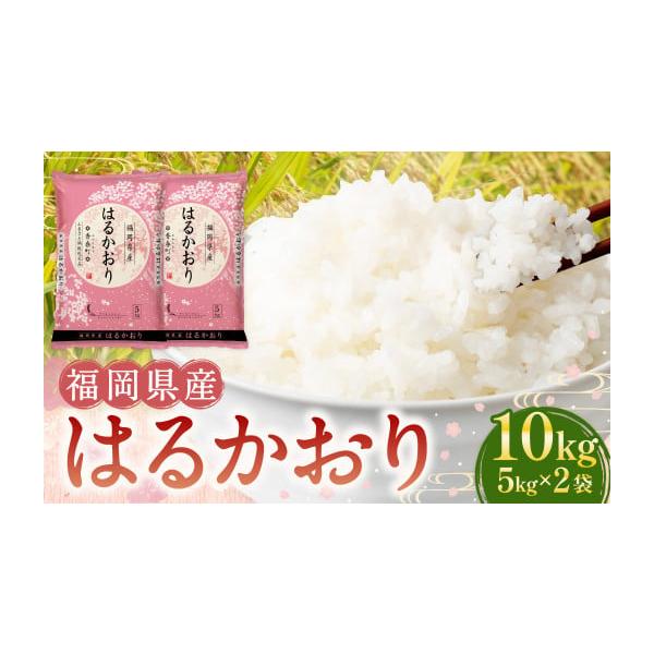 令和6年度 福岡県産　新米（ふくきらり 20Kg) 総合1位／ 訳あり ふくきらり 米 合計20kg ( 5kg×4袋 ) ふるさと