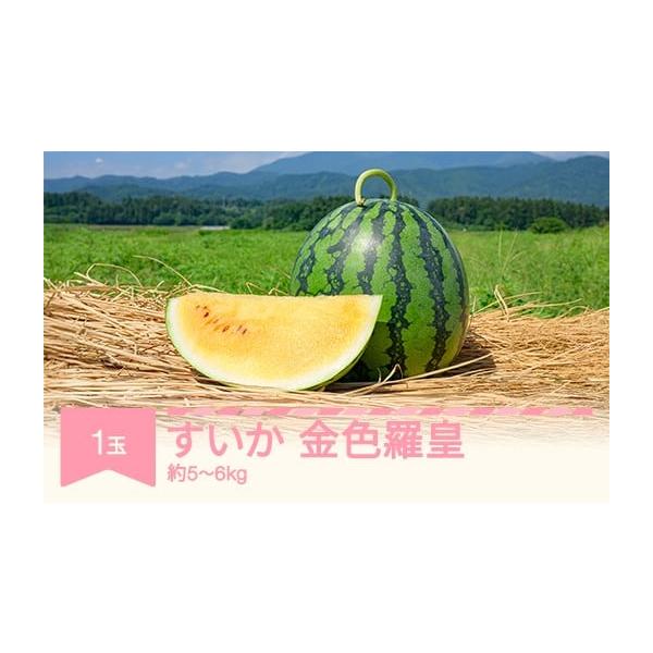 容量1玉（5kg~6kg)・秀品消費期限商品到着後7日以内※生ものですので、到着後はなるべくお早めにお召し上がりください。発送期日7月中旬~8月中旬※生育の状況により多少前後することがあります配送常温 時間指定 別送申込期日2026年2月2...