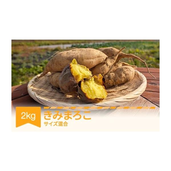 ふるさと納税 野菜類 サツマイモ 山形県 村山市  先行予約 さつまいも きみまろこ 土付き 約2kg 村山市産 2026年産 令和8年産 山形県産 芋 沖縄・離島への配送…