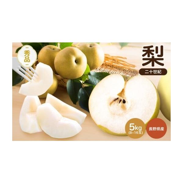 容量約5kg (8〜16玉)原産地:長野県消費期限発送日より5日(青果物のため冷暗所に保管しお早めにお召し上がりください)発送期日2026年9月上旬〜9月下旬の間で順次発送予定です。（発送日・到着予定日等のご案内はしておりません。）【発送に...