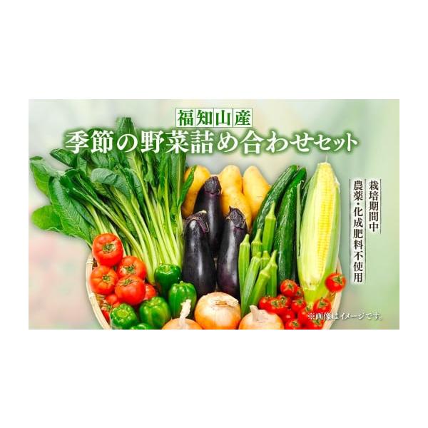 [Release date: December 31, 2025]容量野菜５種類程度の季節の野菜セット 消費期限収穫から10日発送期日準備出来次第お届けいたします。配送常温 別送申込期日【受付期間】〜2025年12月31日まで事業者未来農園...