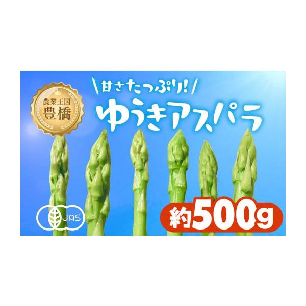容量有機栽培アスパラガス　500g消費期限４〜５日発送期日お届時期：3月頃〜翌9月頃までお申込みより2週間〜1ヶ月程度でお届けいたします。※発送時期以外のお申し込みは先行予約となります。※お届け期間は生育状況により多少の変動があります。配送...