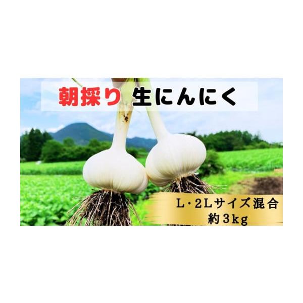 容量原産地：青森県田子町内容量：青森県田子町産 生にんにくL＆2L 3kg◆品種について・青森県田子町産にんにく =『たっこ1号』※青森県の基準にしたがって化学肥料や農薬を使用して栽培したニンニクです。消費期限冷蔵14日発送期日毎年6月20...