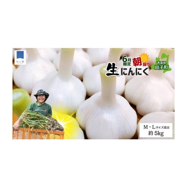 容量にんにく（令和8年青森県田子町産）M〜L（中〜大）サイズ混合・約5kg消費期限冷蔵保管【発送から14日】発送期日毎年6月20日〜6月30日まで配送冷蔵 別送申込期日毎年〜6月20日まで事業者農業法人株式会社和の郷申込条件何度も申し込み可