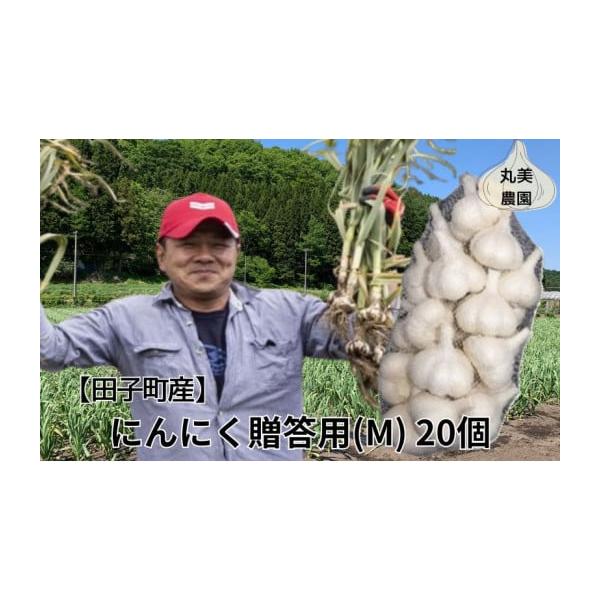 容量田子産にんにく贈答用Mサイズ 20個※新聞紙で包み、冷蔵庫で保存して下さい。発送期日毎年10月1日〜3月31日まで配送常温 別送申込期日毎年4月1日〜3月20日まで事業者丸美農園申込条件何度も申し込み可