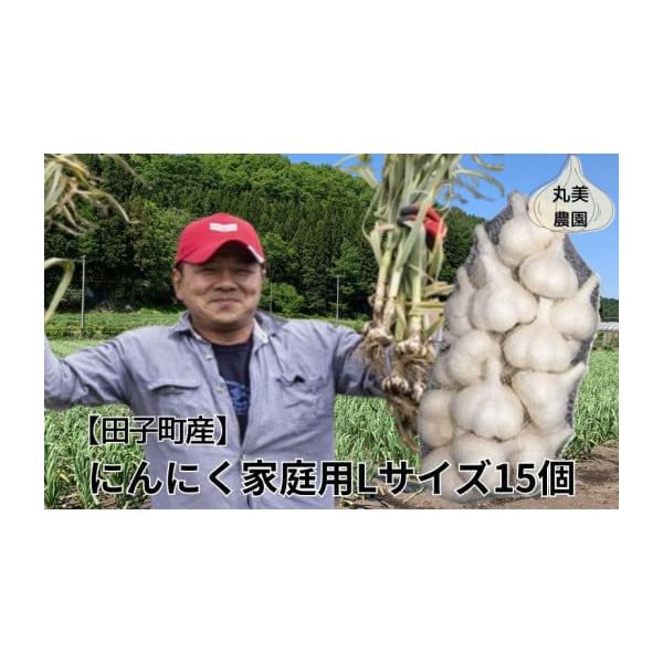 容量田子産にんにく家庭用Lサイズ 15個※新聞紙で包み、冷蔵庫で保存して下さい。発送期日毎年10月1日〜3月31日まで配送常温 別送申込期日毎年4月1日〜3月20日まで事業者丸美農園申込条件何度も申し込み可