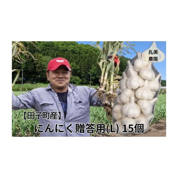 容量田子産にんにく贈答用Lサイズ 15個※新聞紙で包み、冷蔵庫で保存して下さい。発送期日毎年10月1日〜3月31日まで配送常温 別送申込期日毎年4月1日〜3月20日まで事業者丸美農園申込条件何度も申し込み可