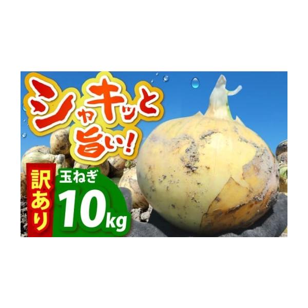 容量■内容量・新玉ねぎ 10kg（小玉）※直射日光を避けた風通しの良い場所で保管してください。※訳あり品となっていますが、味や品質は問題なく、美味しくお召し上がりいただけます。※お届けするのは、中生・晩生の玉ねぎとなります。【原料原産地】佐...