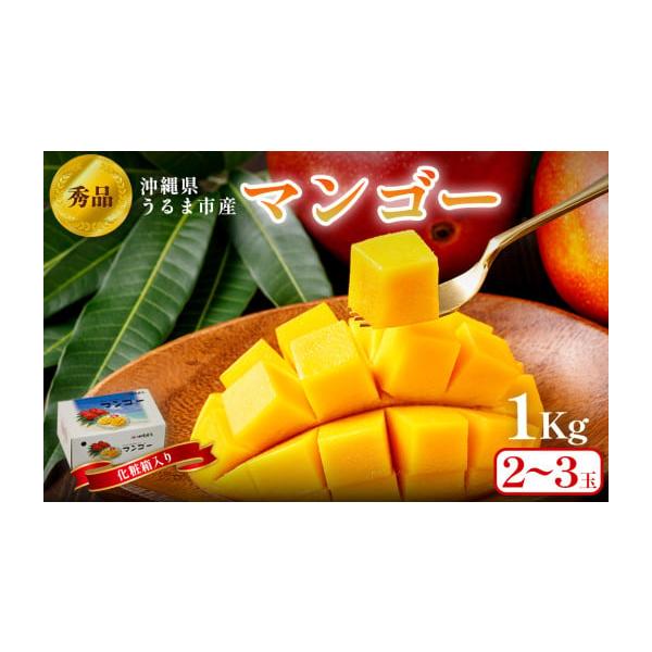 容量完熟マンゴー1kg（2〜3玉）消費期限目安としてお届けから7日程度。生ものですので到着後はお早めにお召し上がりください。発送期日2026年7月頃から収穫に合わせて申込順に発送を行います。※天候や収穫状況により前後する可能性がございます。...
