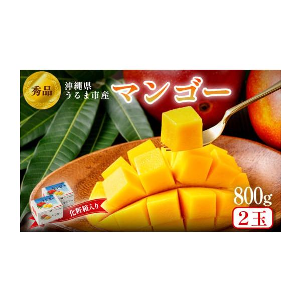 容量完熟マンゴー800ｇ（1箱400ｇ×2箱）消費期限目安としてお届けから7日程度。生ものですので到着後はお早めにお召し上がりください。発送期日2026年7月頃から収穫に合わせて申込順に発送を行います。※天候や収穫状況により前後する可能性が...