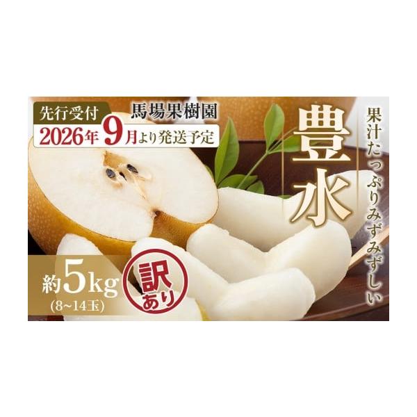 容量豊水　約5kg（目安として8〜14玉入）消費期限出荷後5日程度発送期日9月初旬以降準備でき次第、順次発送いたします。配送常温 時間指定 別送申込期日〜2026年8月31日事業者馬場果樹園申込条件何度も申し込み可、オンライン決済限定