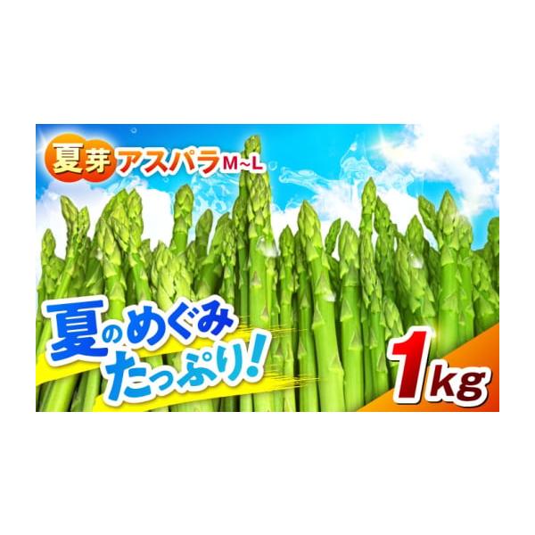 容量アスパラガス 夏芽（M〜Lサイズ） 約1kg 【原料原産地】熊本県山鹿市消費期限冷蔵庫で約7日間発送期日【2026年】ご入金確認後、6月上旬〜10月上旬にかけて順次発送いたします。※天候不順により、予告なく発送が前後する場合がございます...