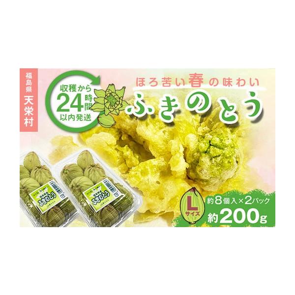容量ふきのとう（やつがしら）Lサイズ200g（約８個入り×2パック）消費期限14日発送期日2026年1月上旬頃〜2026年3月中旬頃配送常温 時間指定 別送申込期日2025年12月31日まで事業者株式会社エールアップ申込条件何度も申し込み可