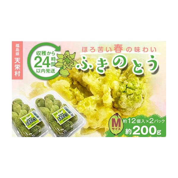 容量ふきのとう（やつがしら）Mサイズ200g（約12個入り×2パック）消費期限14日発送期日2026年1月上旬頃〜2026年3月中旬頃配送常温 時間指定 別送申込期日2025年12月31日まで事業者株式会社エールアップ申込条件何度も申し込み可