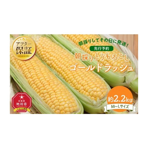 容量ゴールドラッシュ約2.2kg(M〜Lサイズ×6本)消費期限発送日より7日前後発送期日2026年8月中旬より順次発送配送冷蔵 時間指定 別送申込期日〜2026年8月31日事業者はっとり青果店申込条件何度も申し込み可、オンライン決済限定