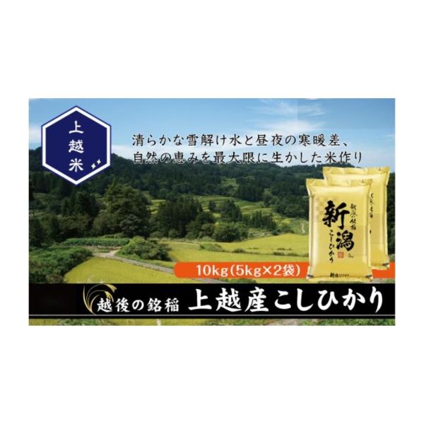 ふるさと納税 米 コシヒカリ 新潟県 上越市 令和7年産 新潟県上越産