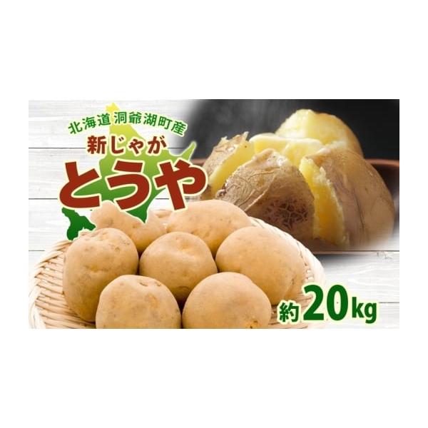 ふるさと納税 野菜類 じゃがいも 北海道 洞爺湖町 洞爺湖町産 新