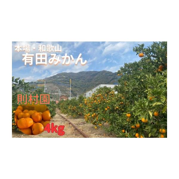 ふるさと納税 果物類 みかん 和歌山県 有田川町 則村園産 有田みかん