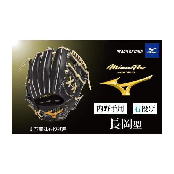 ふるさと納税 スポーツ・アウトドア 兵庫県 宍粟市 AO76 ミズノプロ