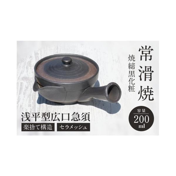 ふるさと納税 陶磁器・漆器・ガラス 愛知県 常滑市 常滑焼 焼締黒化粧 浅平型広口急須 楽捨て構造 セラメッシュ（陶製茶こし） ご自宅用