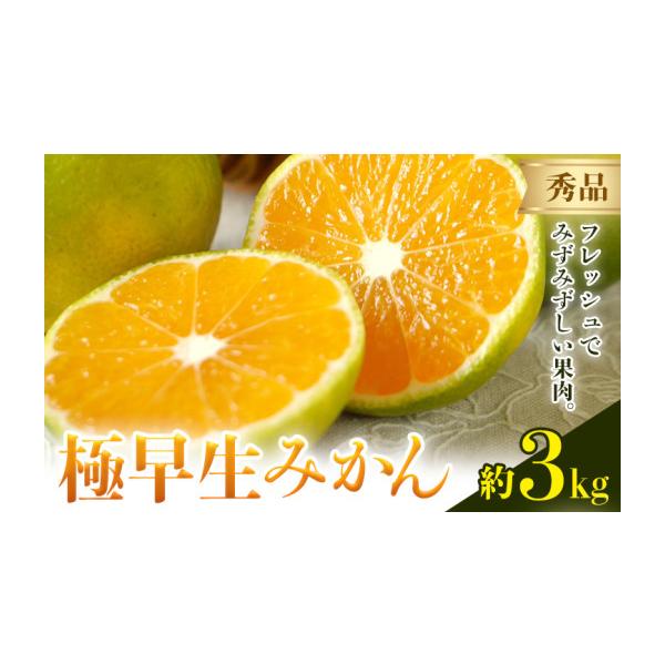 みかん・柑橘類 熊本県 荒尾市 みかん 極早生みかん 秀品 3kg 日本フルーツ株式会社《10月上旬-10月末頃出荷》熊本県 荒尾市 早生みかん 果物 フ… 約3kg