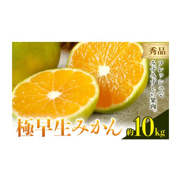 みかん・柑橘類 熊本県 荒尾市 みかん 極早生みかん 秀品 10kg 日本フルーツ株式会社《10月上旬-10月末頃出荷》熊本県 荒尾市 早生みかん 果物 … 約10kg