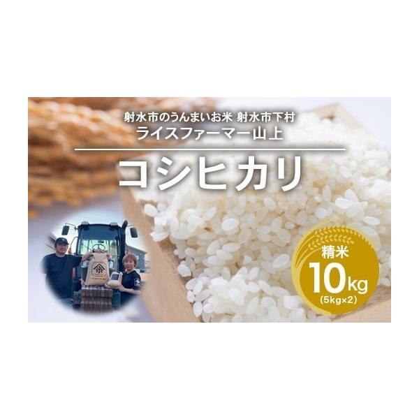 ふるさと納税 米 コシヒカリ 富山県 射水市 R7年産コシヒカリ10kg（5kg