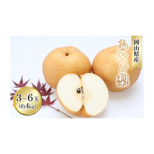 容量あたご梨 約4kg 3〜6玉入り岡山県内産（5条8号ハ）※お届け日、時間の指定は申し訳ないですが、お受けできません。※記載しています発送期間内で順次配送させていただきます。※果物は大変傷みやすいです。受取後すぐにお品の状態をご確認くださ...