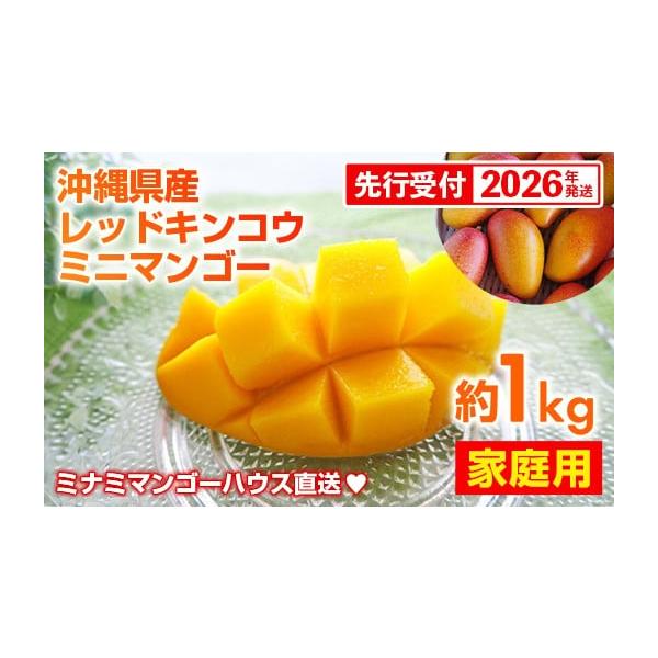 容量【家庭用】レッドキンコウ ミニマンゴー約1kg※色・キズ有り・不揃いの為、見た目は落ちますが、味や甘さは変わりありません。ご家庭用としてご賞味ください。※玉数の指定はできません※数に限りがございます。数量に達し次第終売となります。アレル...