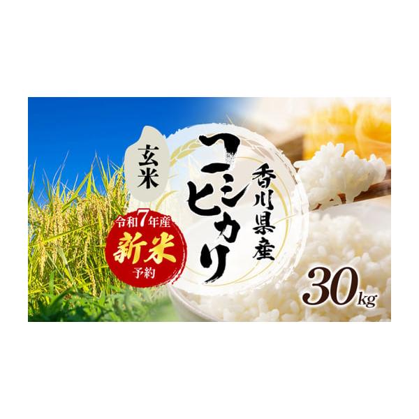 香川県産の米 ふるさと納税 米 コシヒカリ 香川県 東かがわ市 No.4631-2725 令