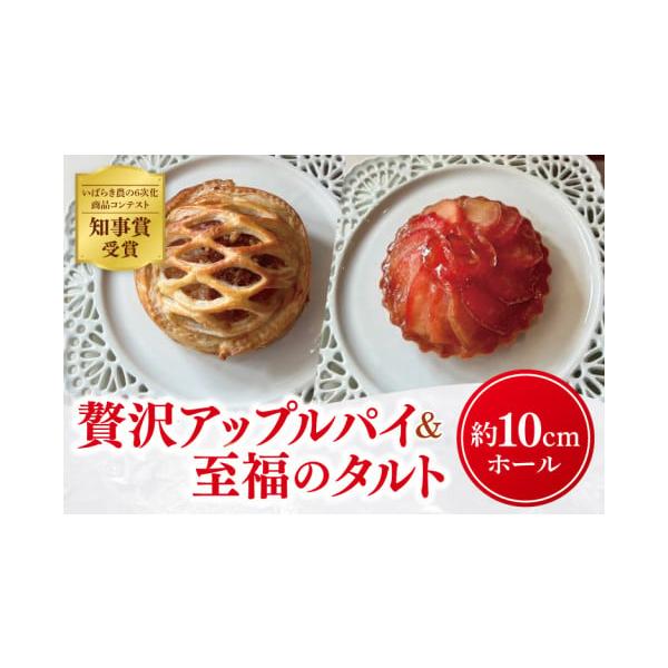 ふるさと納税 焼菓子・チョコレート アップルパイ 茨城県 大子町 藤田