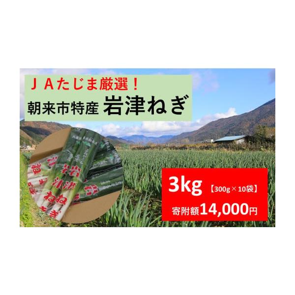 容量 3kg（300g×10袋）消費期限賞味期限：1週間程度発送期日入金確認後、令和8年1月から順次発送します。※岩津ねぎは毎年11月23日が解禁日となります。配送常温 時間指定 別送申込条件何度も申し込み可