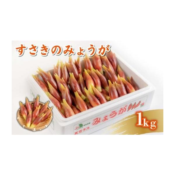 容量1kg消費期限冷蔵で2週間発送期日入金確認後、1か月程度で発送配送冷蔵 別送申込期日通年事業者土佐くろしお農業協同組合申込条件何度も申し込み可