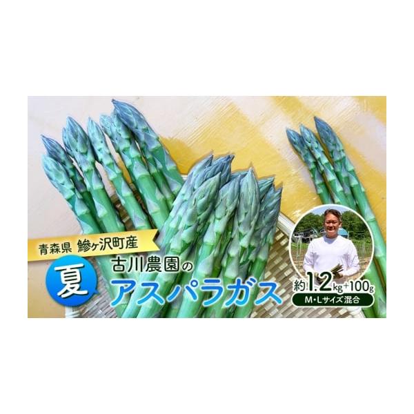 容量夏芽グリーンアスパラガス 約1.2kg＋100g M-Lサイズ混合消費期限発送から冷蔵5日間発送期日2026年7月下旬〜2026年8月下旬配送冷蔵 別送申込期日2026年8月10日まで事業者古川農園申込条件何度も申し込み可、オンライン決済限定
