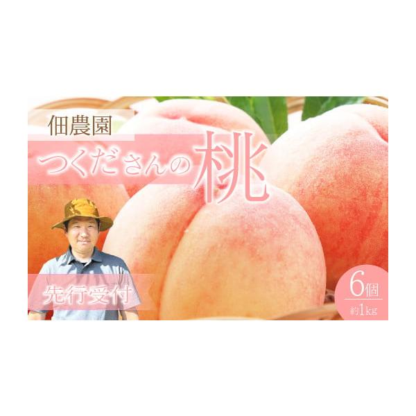 容量つくださんの桃 6個（約1kg）消費期限お早めにお召し上がりください。※皮に透明感が出て、柔らかくなりましたら食べ頃です。発送期日・2026年7月下旬〜2026年9月上旬頃お届けいたします。※天候や収穫状況によってお届け時期がずれる場合...