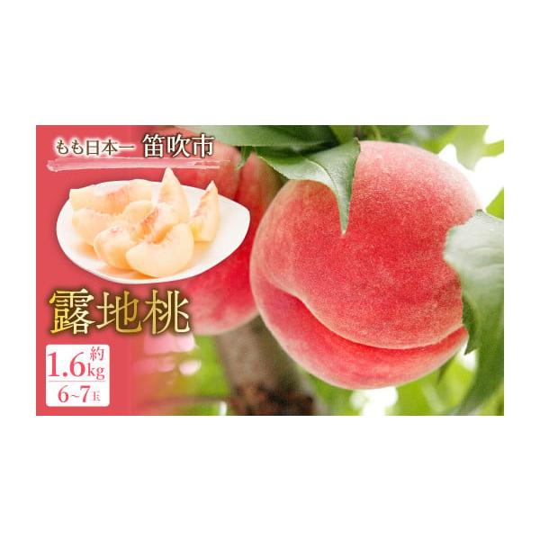 容量●商品番号010-012【申込期日:6／30まで】●露地桃 約1.6kg 6-7玉※離島は配送不可※品種の指定不可●発送期日:6月下旬〜8月上旬予定●事業者:JAふえふき発送期日6月下旬〜8月上旬予定(天候により配送時期が前後する可能性...