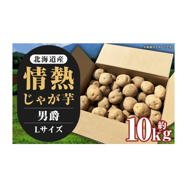 容量じゃがいも（男爵）：約10kg×1箱サイズ：Lサイズ消費期限賞味期限：発送日から冷暗所に保管で約2ヶ月発送期日2026年10月上旬〜2026年12月上旬迄発送予定配送常温 時間指定 別送申込期日2026年11月15日まで寄附受付事業者株...