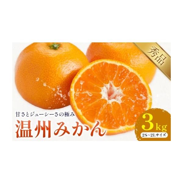 みかん・柑橘類 熊本県 荒尾市 温州みかん 約3kg 日本フルーツ株式会社 熊本県 荒尾市 《10月中旬-2月下旬頃出荷予定》