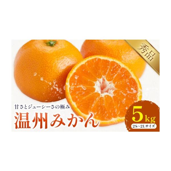 みかん・柑橘類 熊本県 荒尾市 温州みかん 約5kg 日本フルーツ株式会社 熊本県 荒尾市 《10月中旬-2月下旬頃出荷予定》