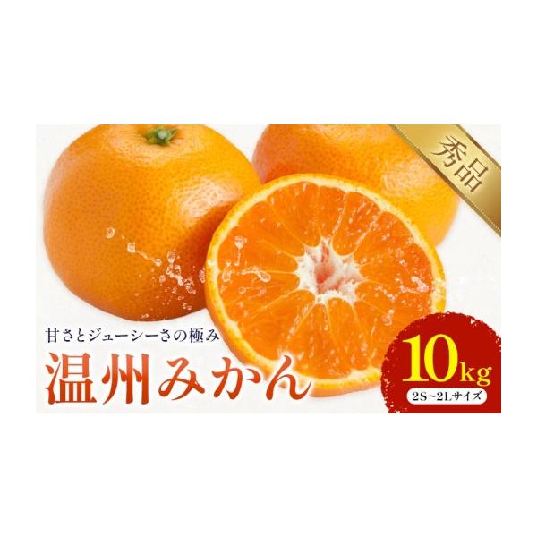 みかん・柑橘類 熊本県 荒尾市 温州みかん 約10kg 日本フルーツ株式会社 熊本県 荒尾市 《10月中旬-2月下旬頃出荷予定》