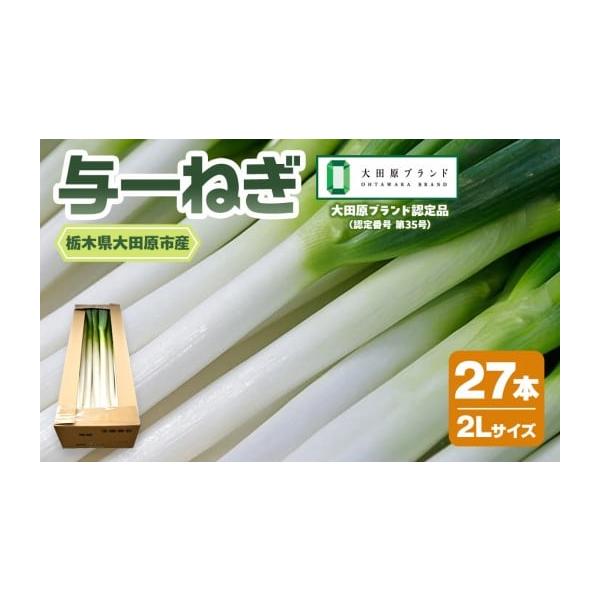 容量与一ねぎ　2Lサイズ　27本【保存方法】冷蔵保存(6℃以下で保存)消費期限発送後5日程度発送期日ご入金確認後、2週間以内を目途に発送いたします。配送冷蔵 別送事業者阿久津農園申込条件何度も申し込み可、オンライン決済限定
